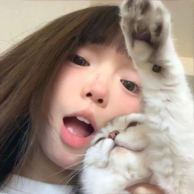 鼠洞里的好朋友